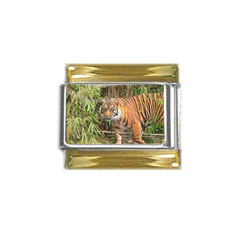 Tiger 1 Gold Trim Italian Charm (9mm) from ArtsNow.com Front