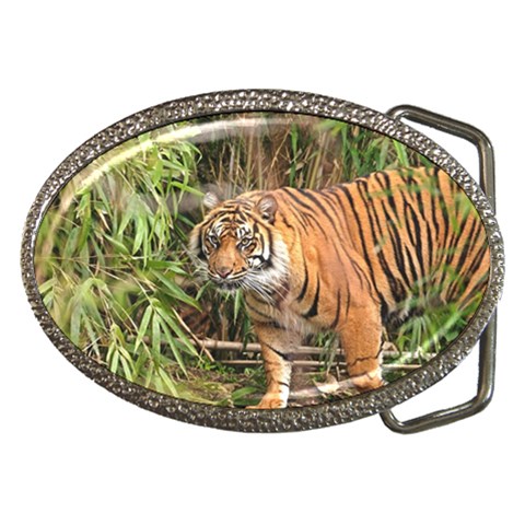 Tiger 1 Belt Buckle from ArtsNow.com Front