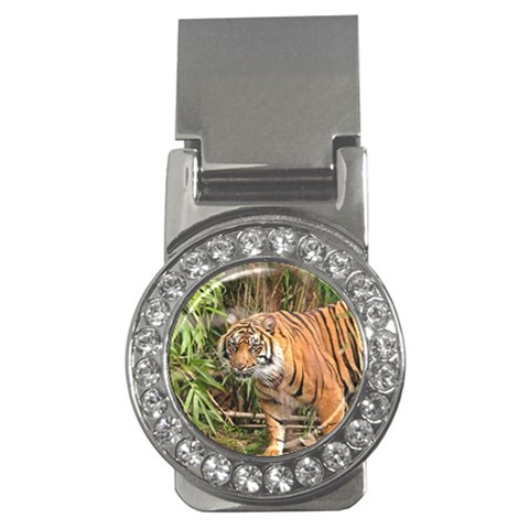 Tiger 1 Money Clip (CZ) from ArtsNow.com Front