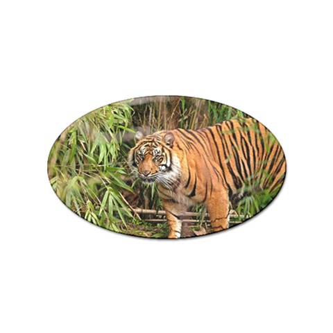 Tiger 1 Sticker (Oval) from ArtsNow.com Front