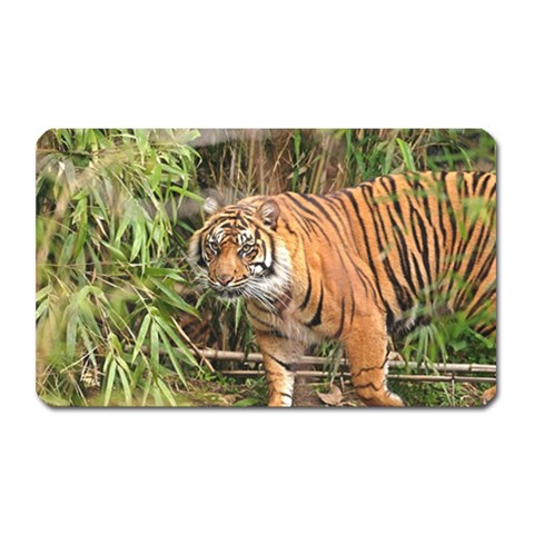 Tiger 1 Magnet (Rectangular) from ArtsNow.com Front