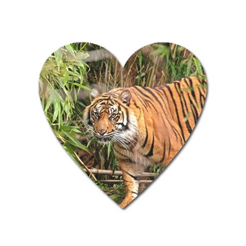 Tiger 1 Magnet (Heart) from ArtsNow.com Front