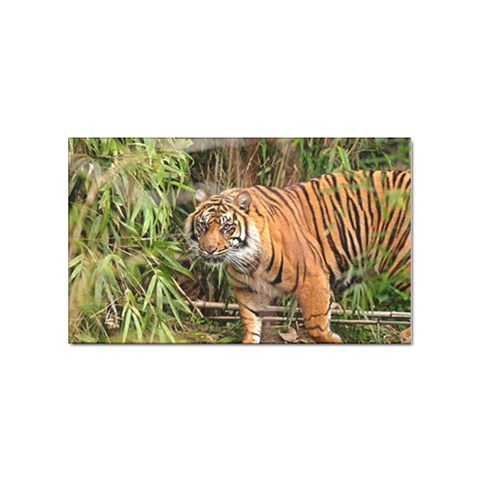 Tiger 1 Sticker Rectangular (10 pack) from ArtsNow.com Front