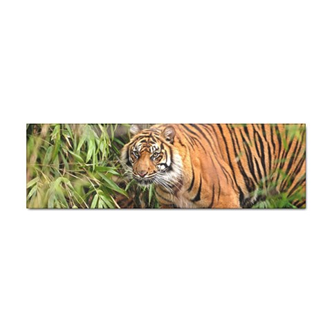 Tiger 1 Sticker Bumper (10 pack) from ArtsNow.com Front