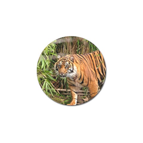 Tiger 1 Golf Ball Marker (10 pack) from ArtsNow.com Front