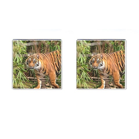 Tiger 1 Cufflinks (Square) from ArtsNow.com Front(Pair)