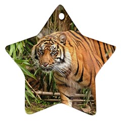 Tiger 1 Star Ornament (Two Sides) from ArtsNow.com Front