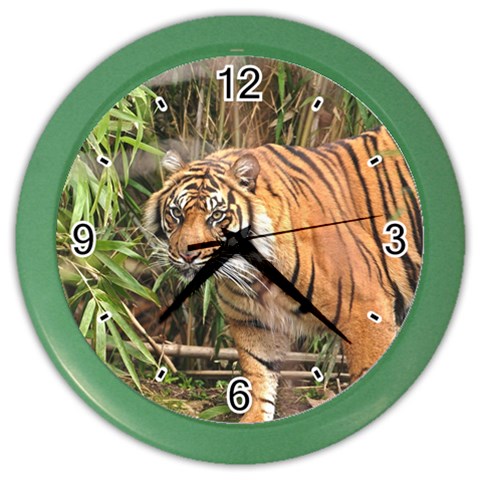 Tiger 1 Color Wall Clock from ArtsNow.com Front