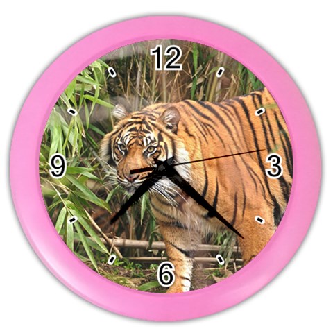 Tiger 1 Color Wall Clock from ArtsNow.com Front