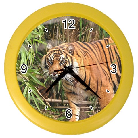 Tiger 1 Color Wall Clock from ArtsNow.com Front