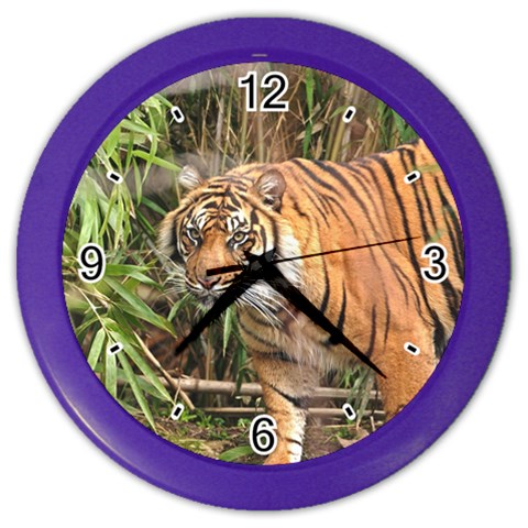 Tiger 1 Color Wall Clock from ArtsNow.com Front