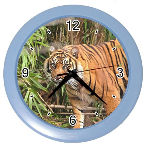 Tiger 1 Color Wall Clock from ArtsNow.com Front