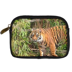 Tiger 1 Digital Camera Leather Case from ArtsNow.com Front