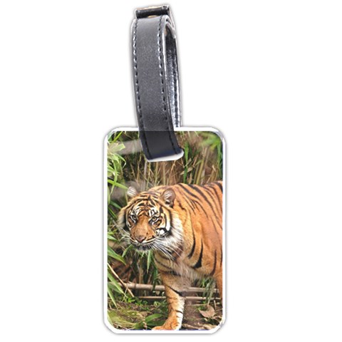 Tiger 1 Luggage Tag (one side) from ArtsNow.com Front