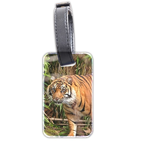 Tiger 1 Luggage Tag (two sides) from ArtsNow.com Front