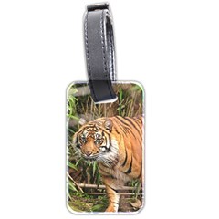 Tiger 1 Luggage Tag (two sides) from ArtsNow.com Front