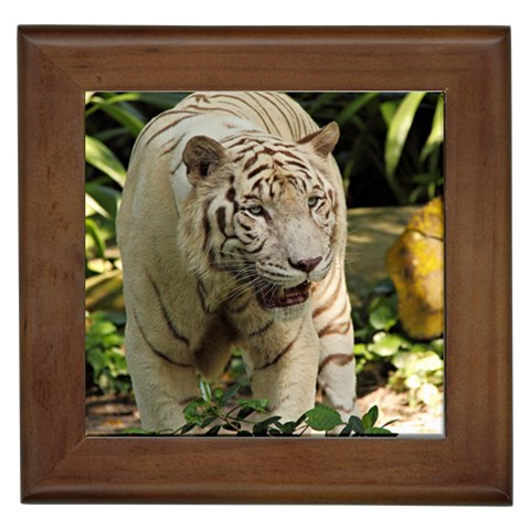 Tiger 2 Framed Tile from ArtsNow.com Front