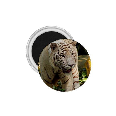 Tiger 2 1.75  Magnet from ArtsNow.com Front