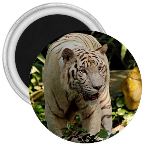 Tiger 2 3  Magnet from ArtsNow.com Front