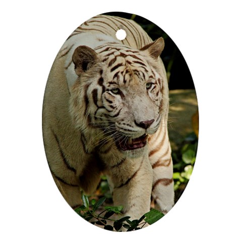 Tiger 2 Ornament (Oval) from ArtsNow.com Front