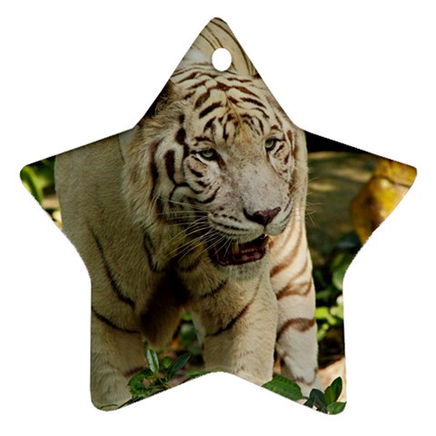 Tiger 2 Ornament (Star) from ArtsNow.com Front