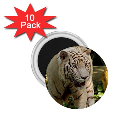 Tiger 2 1.75  Magnet (10 pack)  from ArtsNow.com Front