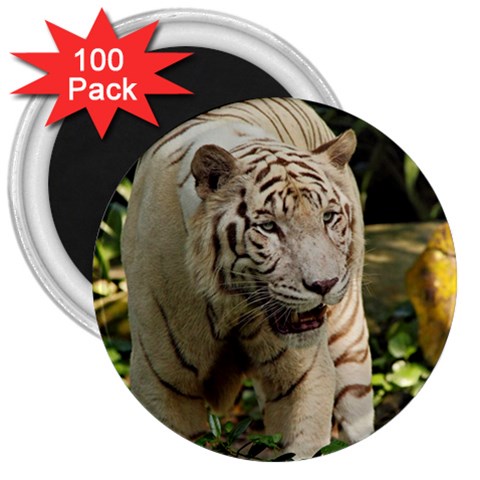 Tiger 2 3  Magnet (100 pack) from ArtsNow.com Front