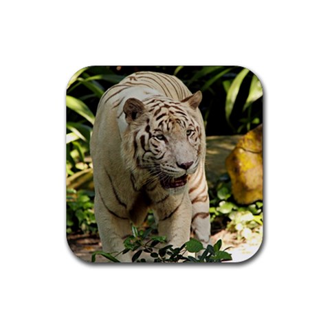 Tiger 2 Rubber Coaster (Square) from ArtsNow.com Front