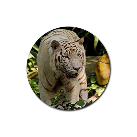 Tiger 2 Rubber Round Coaster (4 pack) from ArtsNow.com Front