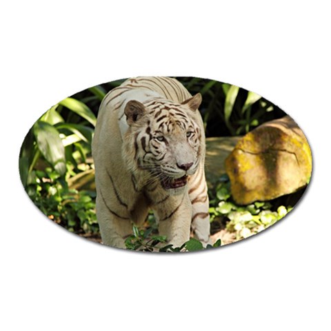 Tiger 2 Magnet (Oval) from ArtsNow.com Front