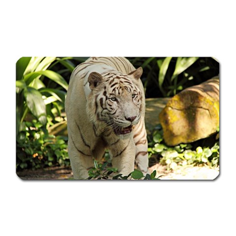 Tiger 2 Magnet (Rectangular) from ArtsNow.com Front