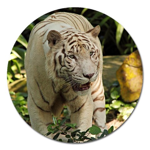 Tiger 2 Magnet 5  (Round) from ArtsNow.com Front