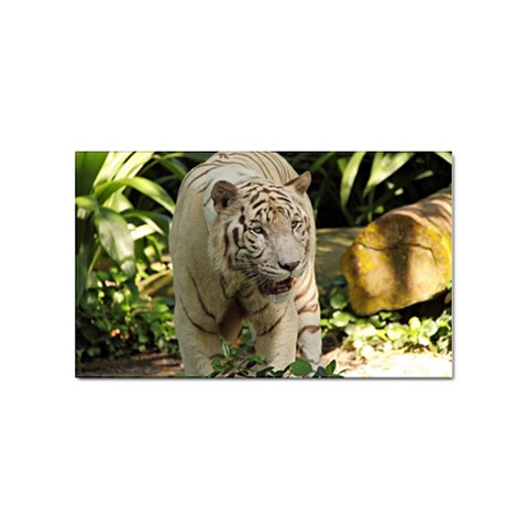 Tiger 2 Sticker Rectangular (10 pack) from ArtsNow.com Front