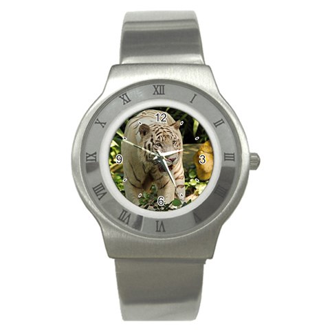 Tiger 2 Stainless Steel Watch from ArtsNow.com Front