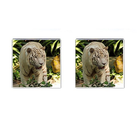 Tiger 2 Cufflinks (Square) from ArtsNow.com Front(Pair)