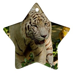 Tiger 2 Star Ornament (Two Sides) from ArtsNow.com Front