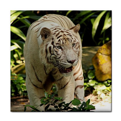 Tiger 2 Face Towel from ArtsNow.com Front