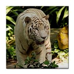 Tiger 2 Face Towel