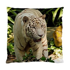 Tiger 2 Cushion Case (Two Sides) from ArtsNow.com Front