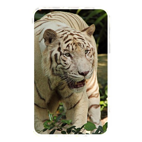 Tiger 2 Memory Card Reader (Rectangular) from ArtsNow.com Front