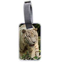 Tiger 2 Luggage Tag (two sides) from ArtsNow.com Front