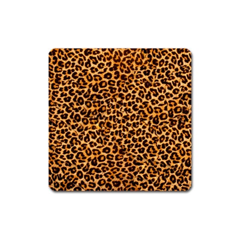 Leopard Magnet (Square) from ArtsNow.com Front