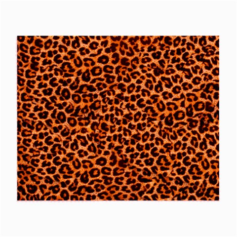 Leopard Glasses Cloth (Small) from ArtsNow.com Front