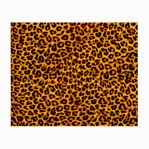 Leopard Glasses Cloth (Small) from ArtsNow.com Front