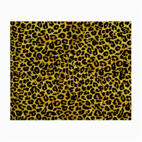 Leopard Glasses Cloth (Small) from ArtsNow.com Front