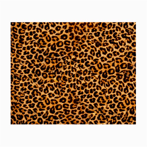 Leopard Glasses Cloth (Small, Two Sides) from ArtsNow.com Back