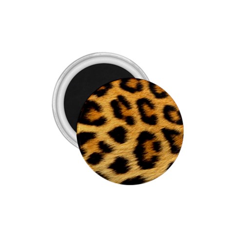 Cheetah 1.75  Magnet from ArtsNow.com Front