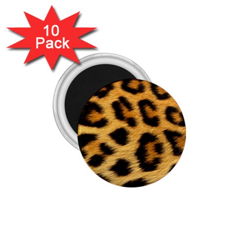 Cheetah 1.75  Magnet (10 pack)  from ArtsNow.com Front