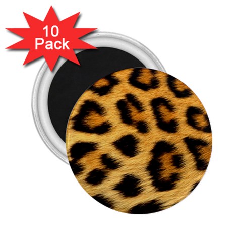 Cheetah 2.25  Magnet (10 pack) from ArtsNow.com Front