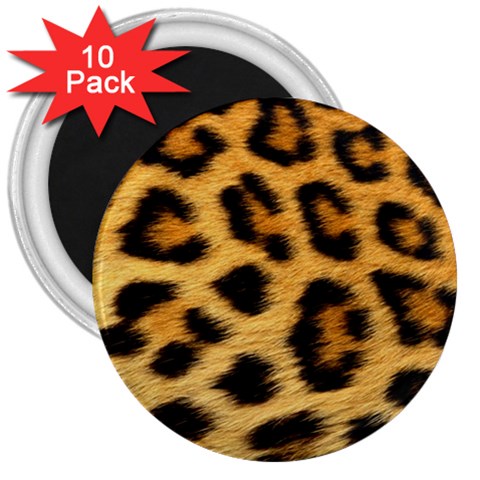 Cheetah 3  Magnet (10 pack) from ArtsNow.com Front